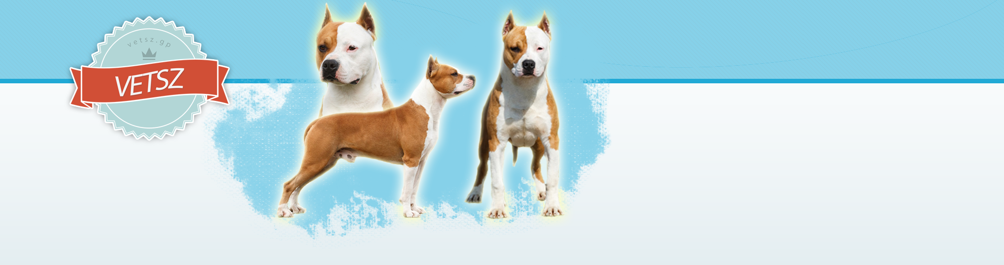 Virtulis EbTenysztk Szervezete ~ Virtual Dog Breeders Association